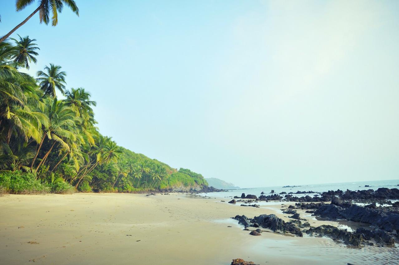 Belantara Beachfront Vengurla Bagian luar foto